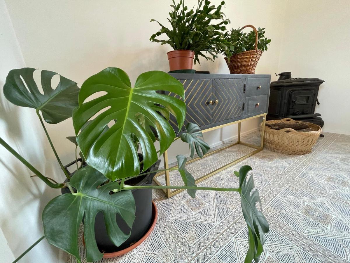 Cilka'S House, Authentic Homestay Near Lipica Sežana المظهر الخارجي الصورة